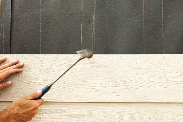 Best Siding Painting and Refinishing  in Mcguire Af, NJ